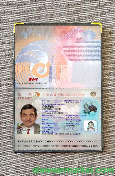 Taiwan Pass 2021-present photo look